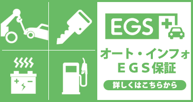 EGS イメージ